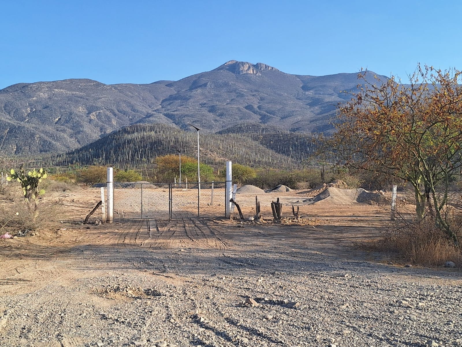Retiran planta de asfalto en Zapotitlán Salinas, ante inconformidad de pobladores