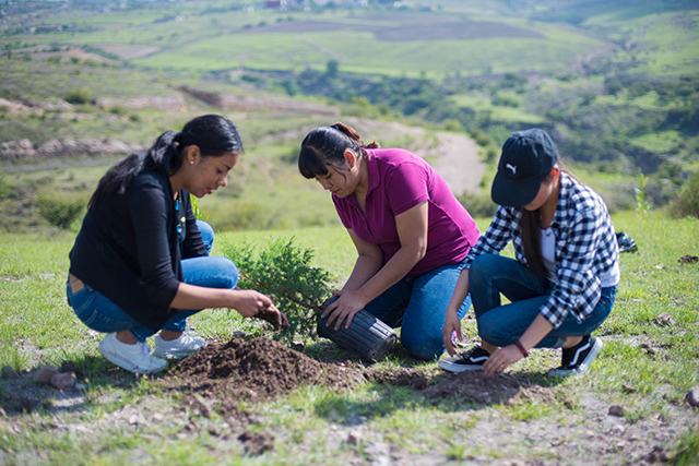 BUAP impulsa políticas y programas de protección al ambiente