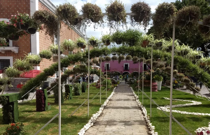 Pagó municipio de Atlixco 750 mil pesos por dos tapetes florales