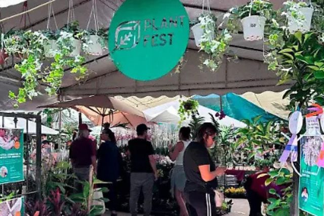 Todo listo para el Plant Fest 2025: plantas, talleres y entrada libre