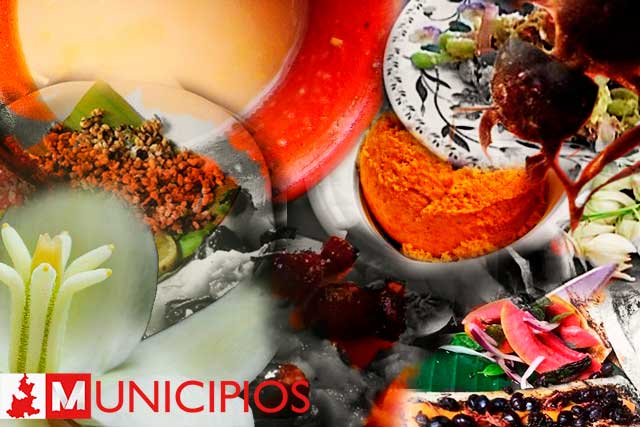 Conoce estos 5 platillos exóticos de Puebla que te fascinarán