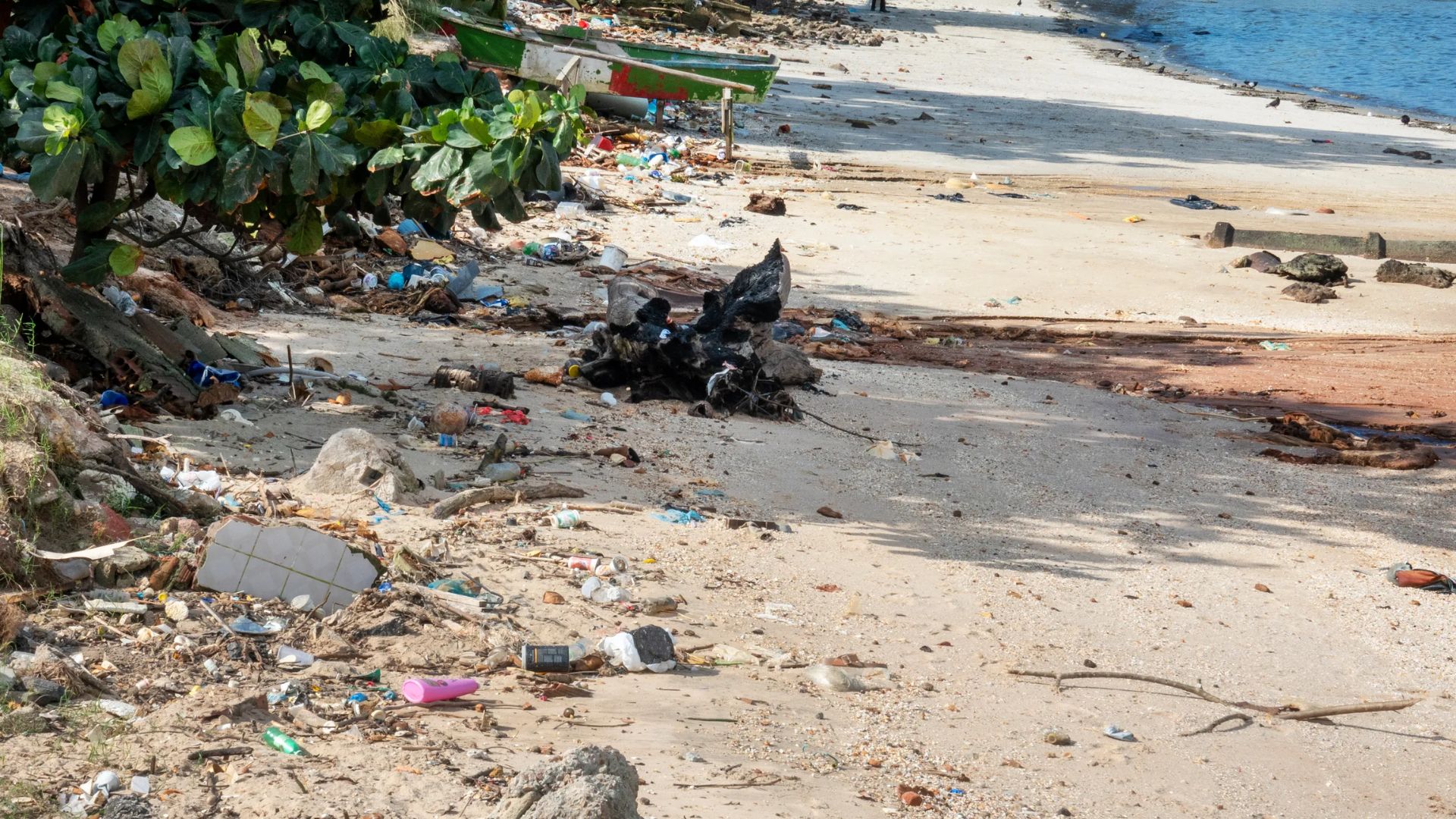 Semar ya dio banderazo a Estrategia Nacional de Limpieza de Playas: Sheinbaum 