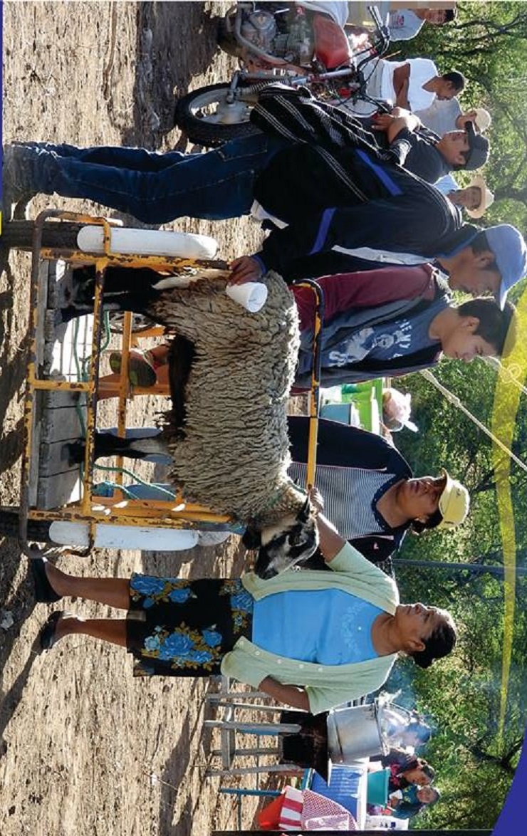 Autoridades inauguran mercado de ganado en Petlalcingo