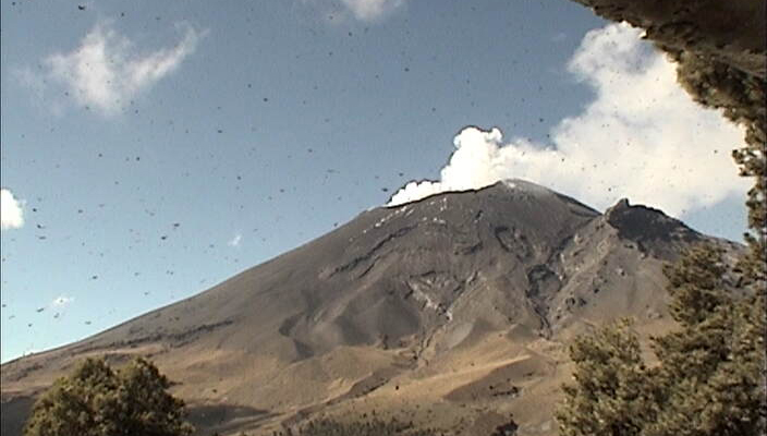 Cenapred registra 44 exhalaciones del volcán Popocatépetl en 24 horas