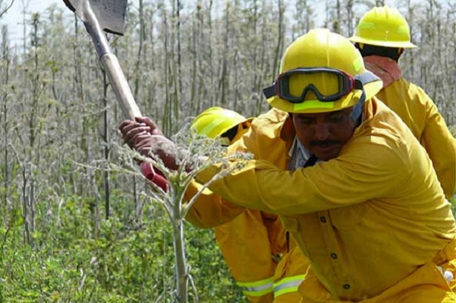 Pobladores, combaten incendios en el volcán Popocatépetl