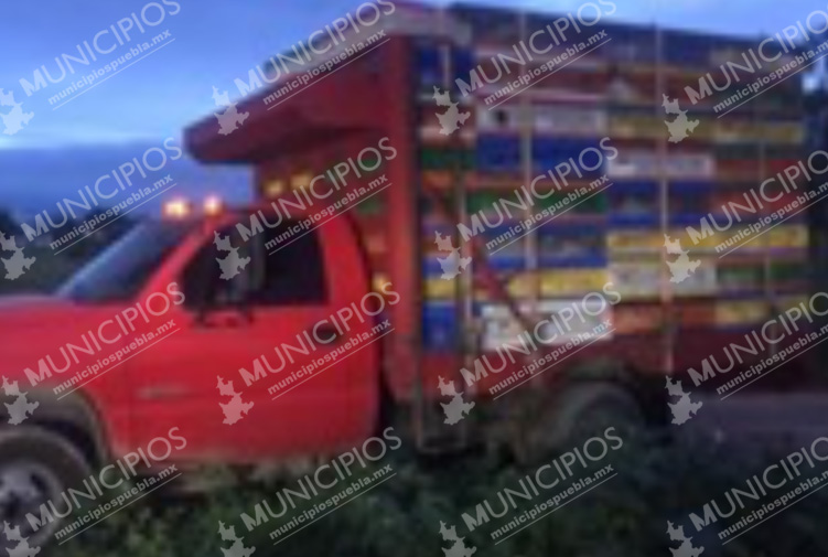 Policías recuperan camioneta robada con 3 toneladas de pollo en Tecamachalco