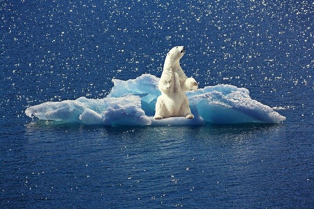 Así como la pandemia, la crisis climática es una amenaza existencial