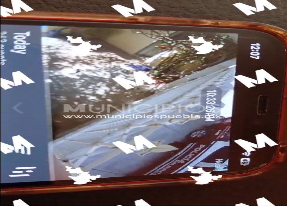 VIDEO Patrulla municipal de Acatlán de Osorio atropella a un perrito