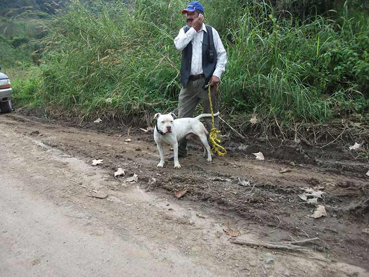 Policías de Huauchinango resguardan obras de Gasomex en Cuacuila