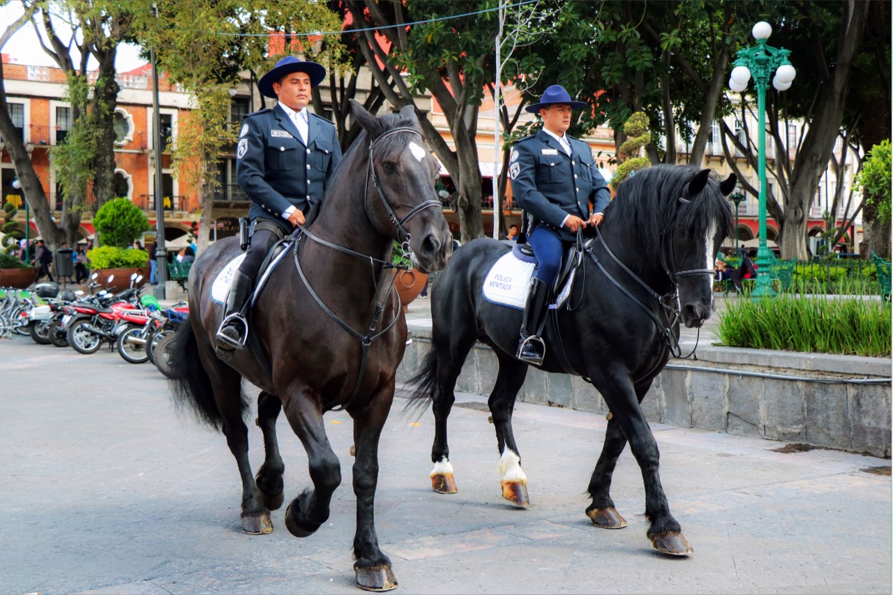Detuvo Policía Montada a sujeto por robo a cuentahabiente