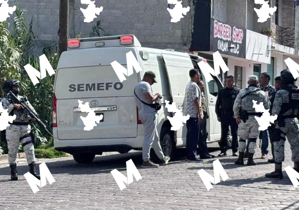 Descubren a perro con feto en el hocico en calles de San Pablo del Monte, Tlaxcala