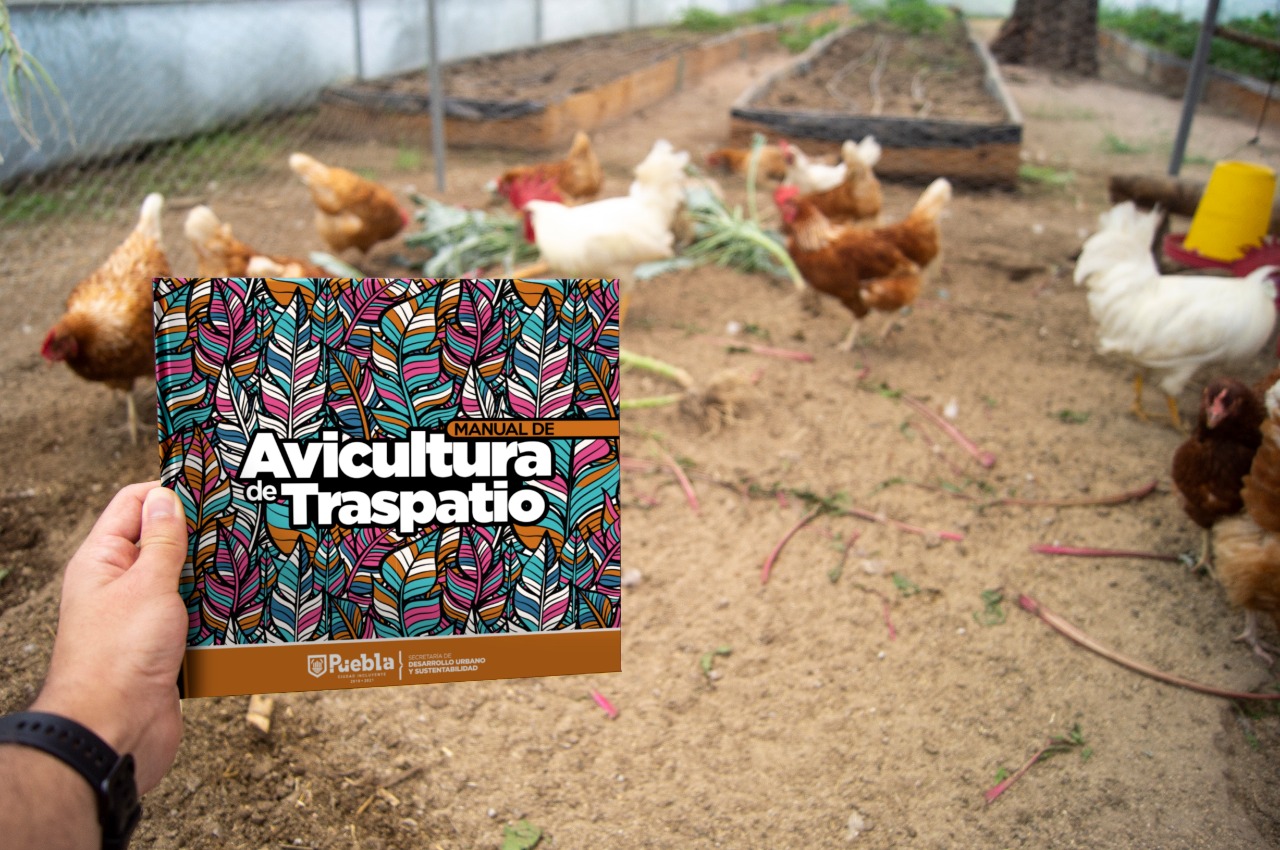 Ayuntamiento de Puebla distribuye Manuales digitales de Avicultura y Compostaje 