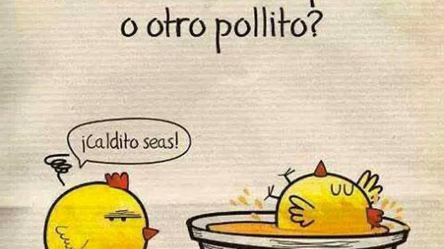 Pollito vs gansos o guacamayas de Chiapas