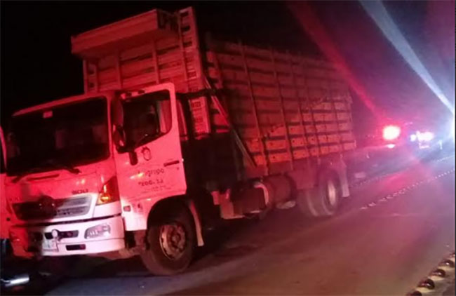 Ladrones abandonan camión con pollos vivos en Tecamachalco