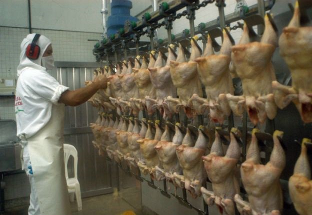 Aumenta 34 por ciento el precio de la pechuga de pollo 