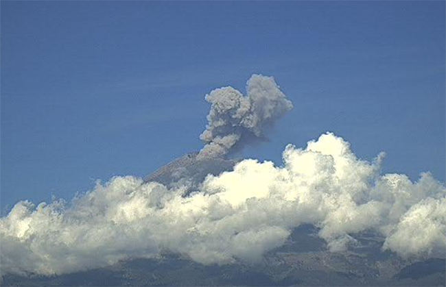 Popocatépetl registra 118 exhalaciones y un sismo en 24 horas