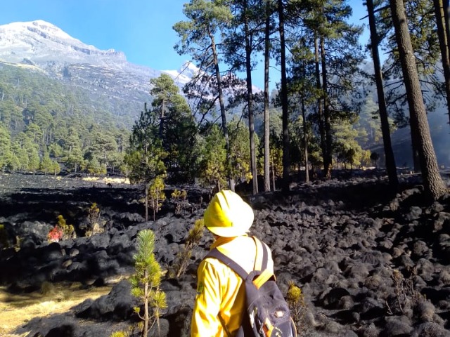 Incendio en Parque Nacional Izta-Popo está controlado