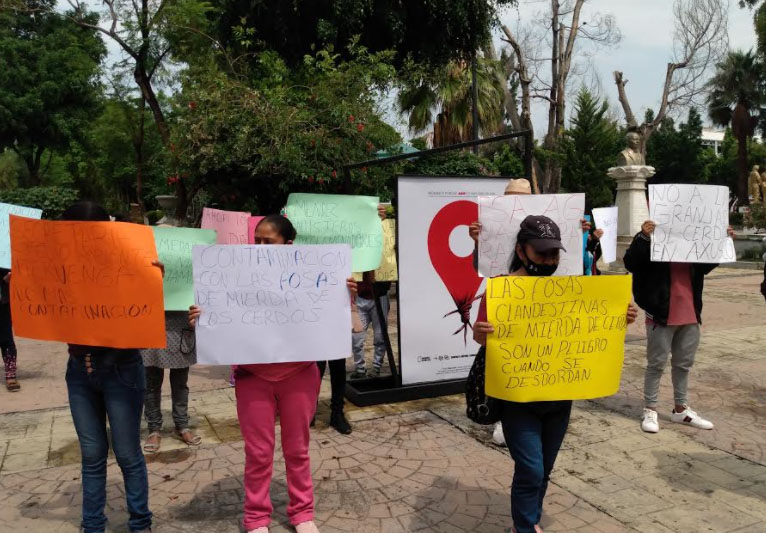 Denuncian que granja porcina contamina con vertederos a cielo abierto en Miahuatlán