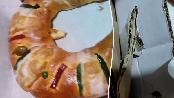 VIDEO Exhiben Rosca de Reyes con cucarachas