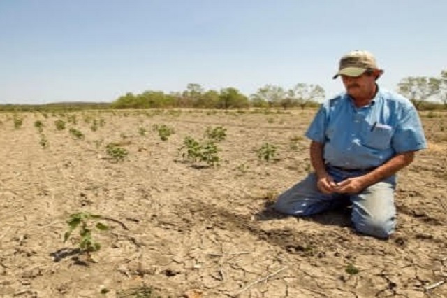 Primero el Covid19, ahora una sequía amenaza la región de Tehuacán