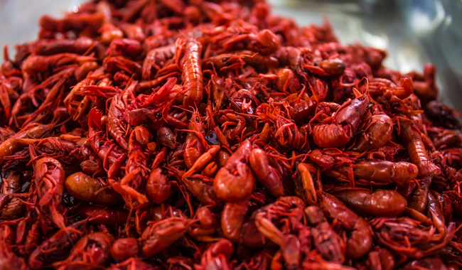 Acociles, alimento prehispánico de alto valor nutricional