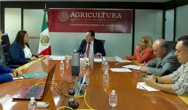 México y Honduras acuerdan impulsar plan de seguridad alimentaria