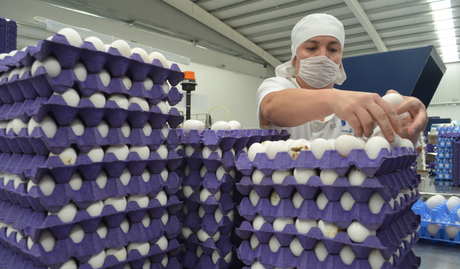 Exportaciones agropecuarias y agroindustriales de México aumentaron 8.84%