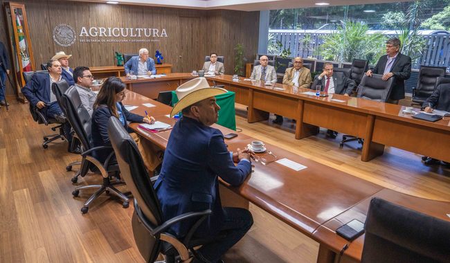 Convoca Agricultura a productores a sumarse a las acciones contra gusano barrenador