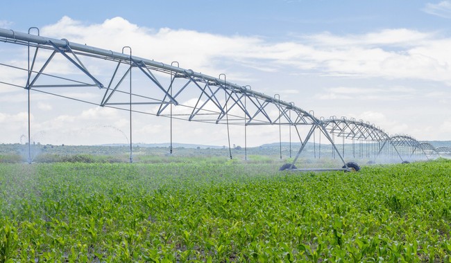 Promueve Agricultura tecnologías para uso eficiente del agua