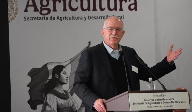 En México no se va a cultivar maíz transgénico de ningún: Agricultura y Desarrollo Rural