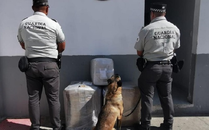 Detectan 38 kilos de marihuana en aeropuerto de San Luis Potosí