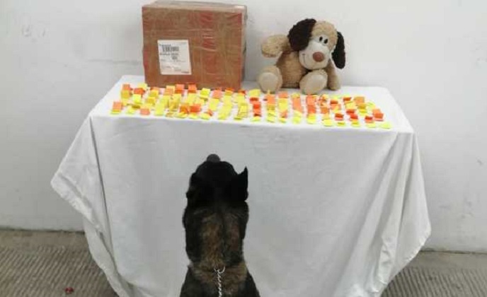 Nayarit Noticias  PELUCHES RELLENOS DE MARIGUANA POR PAQUETERÍA