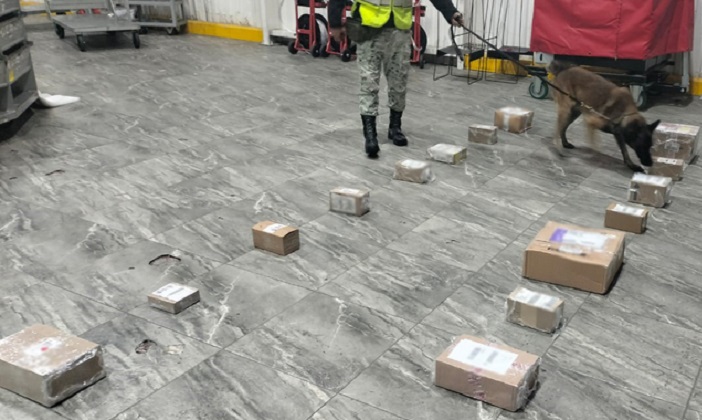 Detectan 16 envíos de marihuana en el aeropuerto de Toluca