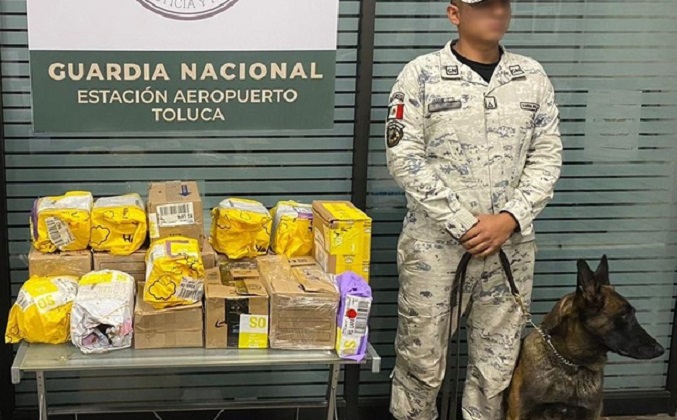 Interceptan 18 paquetes con marihuana en el Aeropuerto de Toluca