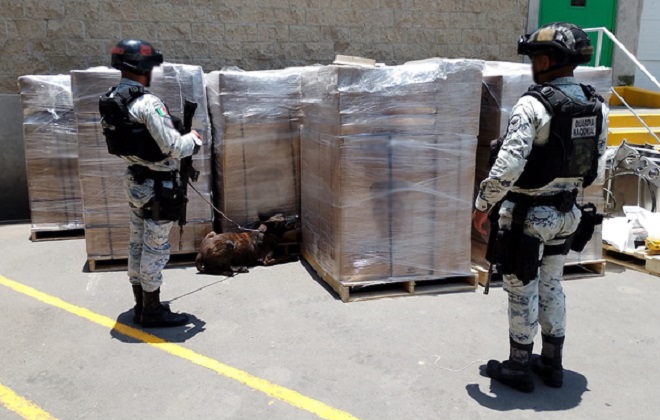 Aseguran 1.2 toneladas de marihuana en el aeropuerto de Guadalajara