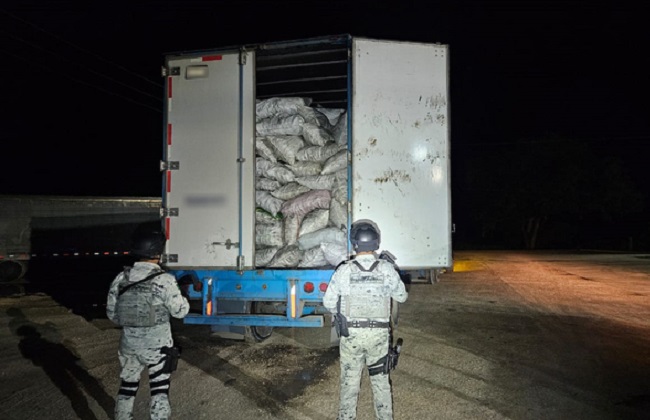 Frenan en Campeche carga ilegal de 23 toneladas de carbón vegetal