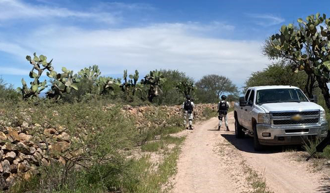 En Zacatecas aseguran tres camionetas con fusiles de asalto, cargadores y 1,453 cartuchos