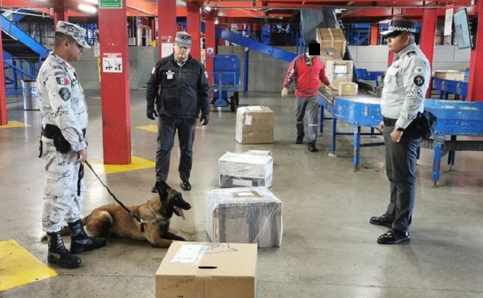 Incautan 17 kilos de marihuana en SLP, enviadas a Puebla y Nuevo León