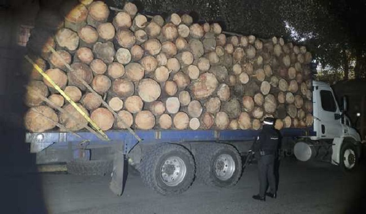 Paran en seco camiones repletos con rollos de madera en el Edomex