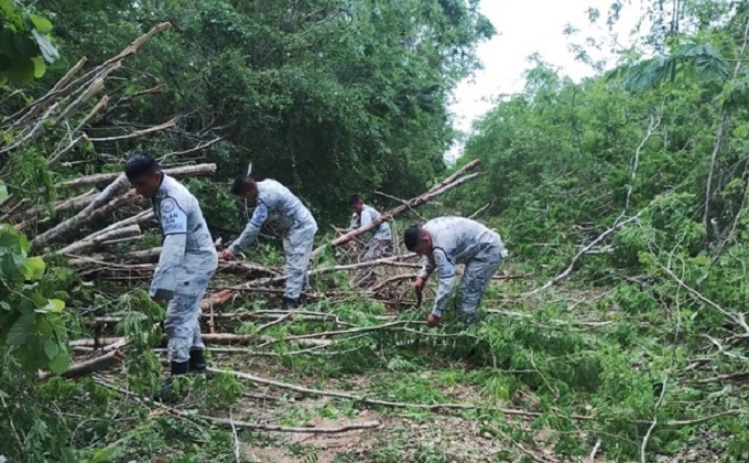 Patrullan zonas azotadas por Beryl para evitar actos de pillaje