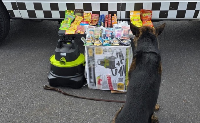 Descubren frituras y dulces hechos con marihuana hechos en Tijuana