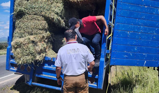 Dejan abandonados a 22 migrantes en camión con pacas de alimento en Zacatecas