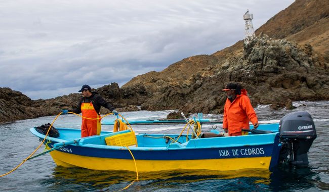 Anuncian periodos de veda y de aprovechamiento de especies marinas
