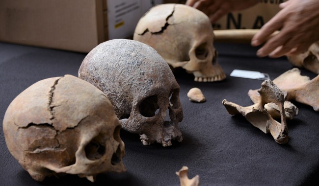 Estudian 100 restos óseos prehispánicos encontrados en terrenos del AIFA