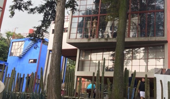 Conmemoran 70 aniversario luctuoso de Frida Kahlo con el taller Árbol de la esperanza