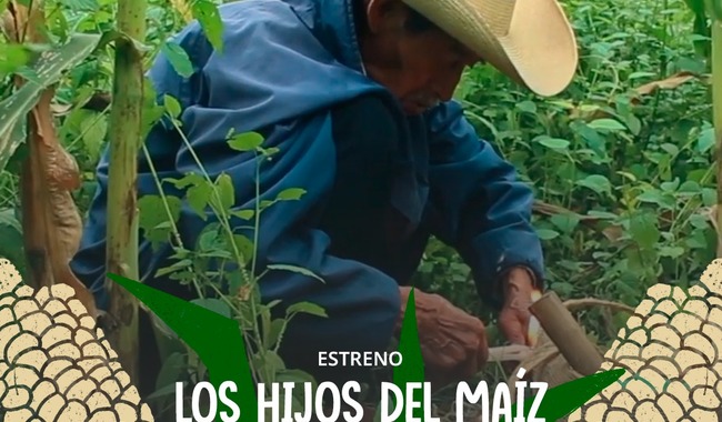 Historias del campo mexicano llegan a Canal 22 con el estreno de Los Hijos del Maíz