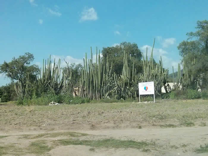 Despoja Ayuntamiento de Tecamachalco de predio a ciudadano