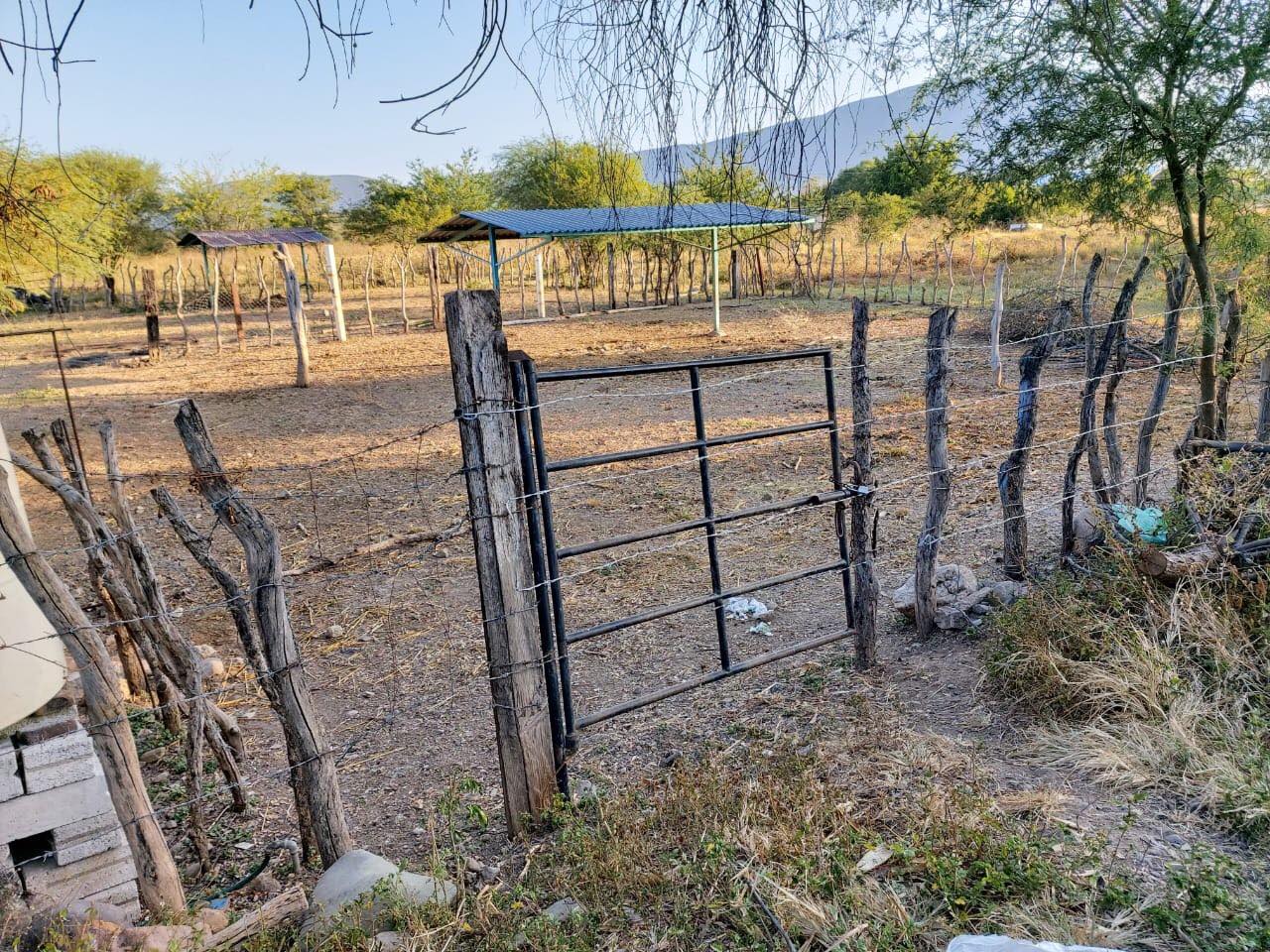 Juez de Chiautla desaloja ilegalmente a dueños de predio en Huehuetlán