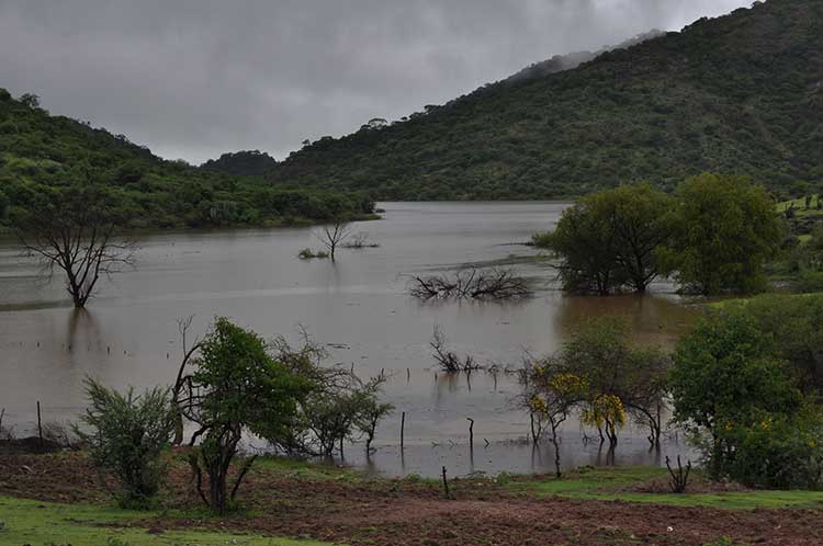 A su máximo nivel la presa Boqueroncito en el municipio de Tehuitzingo