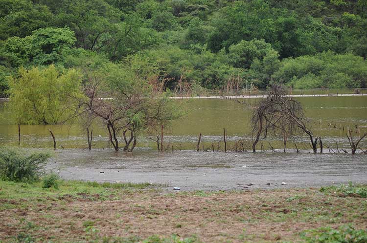A su máximo nivel la presa Boqueroncito en el municipio de Tehuitzingo